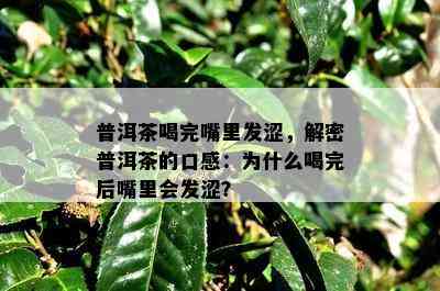 普洱茶喝完嘴里发涩，解密普洱茶的口感：为什么喝完后嘴里会发涩？