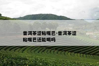 普洱茶涩粘嘴巴-普洱茶涩粘嘴巴还能喝吗