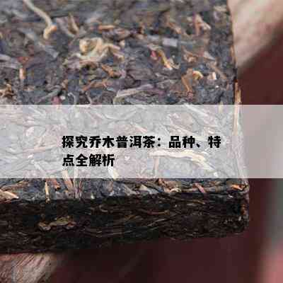 探究乔木普洱茶：品种、特点全解析