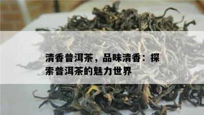 清香普洱茶，品味清香：探索普洱茶的魅力世界