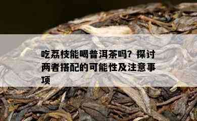 吃荔枝能喝普洱茶吗？探讨两者搭配的可能性及留意事项