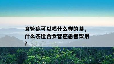 食管癌可以喝什么样的茶，什么茶适合食管癌患者饮用？