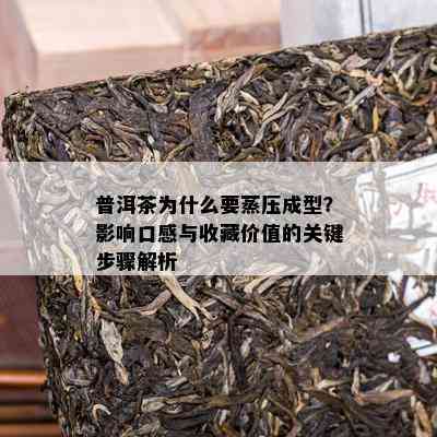 普洱茶为什么要蒸压成型？影响口感与收藏价值的关键步骤解析