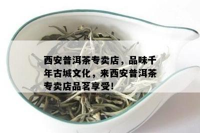 西安普洱茶专卖店，品味千年古城文化，来西安普洱茶专卖店品茗享受！