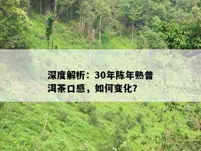 深度解析：30年陈年熟普洱茶口感，怎样变化？