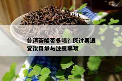 普洱茶能否多喝？探讨其适宜饮用量与注意事项