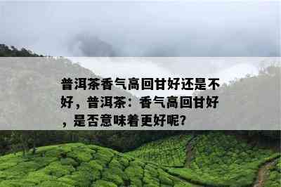 普洱茶香气高回甘好还是不好，普洱茶：香气高回甘好，是不是意味着更好呢？