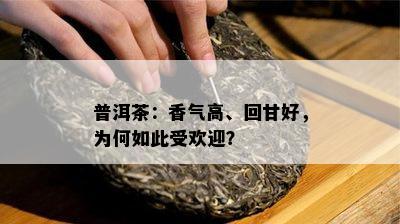 普洱茶：香气高、回甘好，为何如此受欢迎？