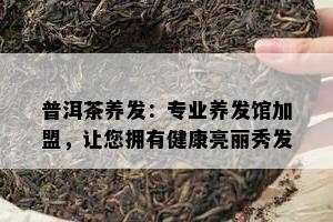 普洱茶养发：专业养发馆加盟，让您拥有健康亮丽秀发