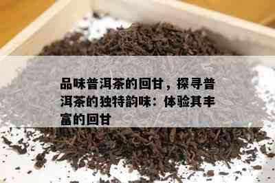 品味普洱茶的回甘，探寻普洱茶的特别韵味：体验其丰富的回甘