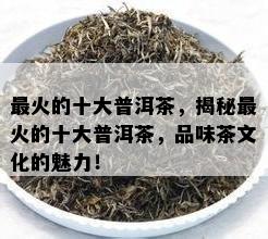 最火的十大普洱茶，揭秘最火的十大普洱茶，品味茶文化的魅力！