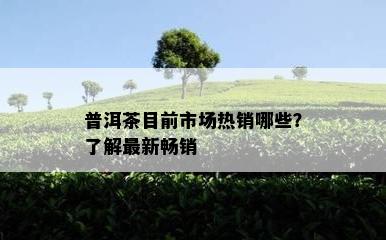 普洱茶目前市场热销哪些？熟悉最新畅销