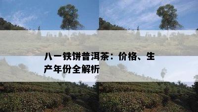 八一铁饼普洱茶：价格、生产年份全解析