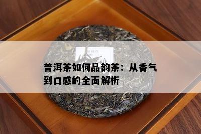 普洱茶如何品韵茶：从香气到口感的全面解析