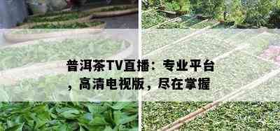 普洱茶TV直播：专业平台，高清电视版，尽在掌握