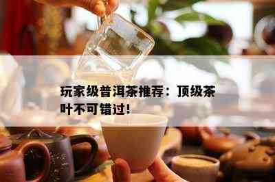 玩家级普洱茶推荐：顶级茶叶不可错过！