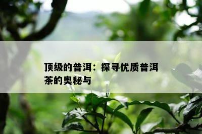 顶级的普洱：探寻优质普洱茶的奥秘与