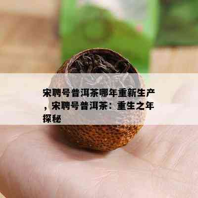 宋聘号普洱茶哪年重新生产，宋聘号普洱茶：重生之年探秘