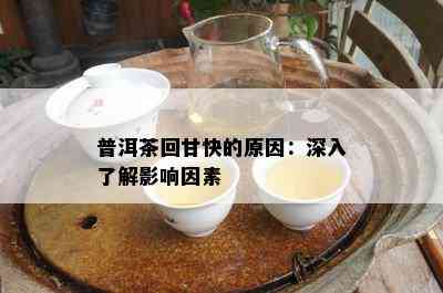 普洱茶回甘快的原因：深入了解影响因素