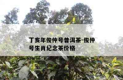 丁亥年俊仲号普洱茶-俊仲号生肖纪念茶价格