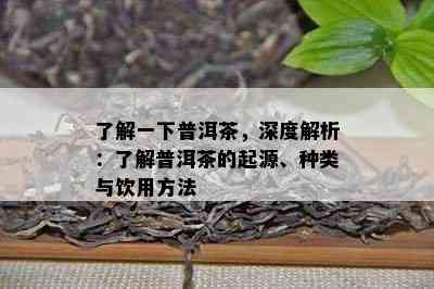 了解一下普洱茶，深度解析：了解普洱茶的起源、种类与饮用方法