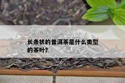 长条状的普洱茶是什么类型的茶叶？