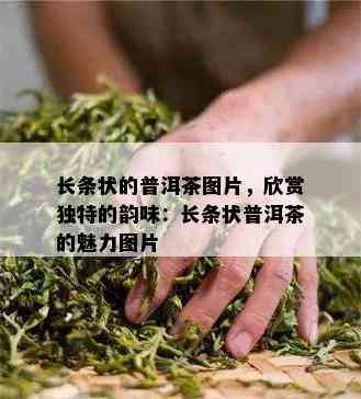 长条状的普洱茶图片，欣赏特别的韵味：长条状普洱茶的魅力图片