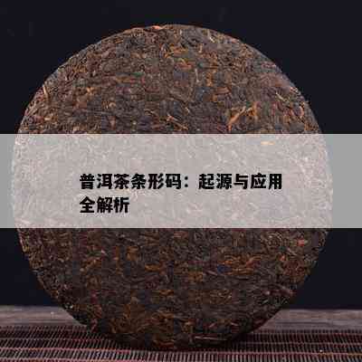 普洱茶条形码：起源与应用全解析