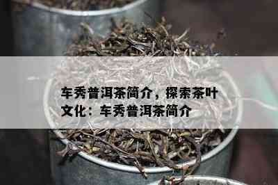 车秀普洱茶简介，探索茶叶文化：车秀普洱茶简介