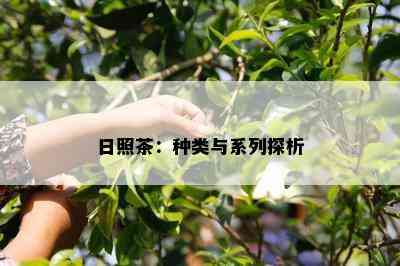 日照茶：种类与系列探析