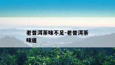 老普洱茶味不足-老普洱茶味道