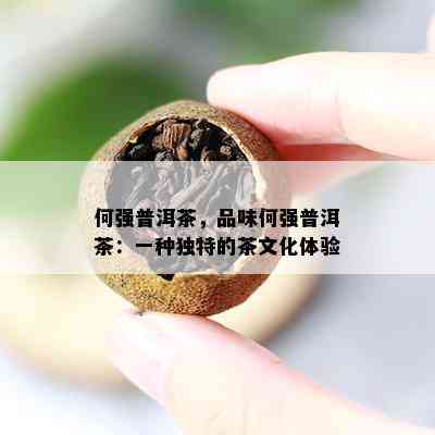 何强普洱茶，品味何强普洱茶：一种特别的茶文化体验