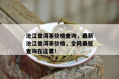 沧江普洱茶价格查询，最新沧江普洱茶价格，全网更低查询在这里！