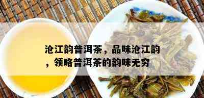 沧江韵普洱茶，品味沧江韵，领略普洱茶的韵味无穷