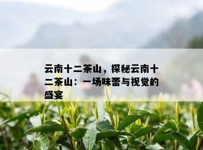 云南十二茶山，探秘云南十二茶山：一场味蕾与视觉的盛宴