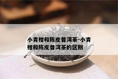 小青柑和陈皮普洱茶-小青柑和陈皮普洱茶的区别