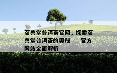 茗善堂普洱茶官网，探索茗善堂普洱茶的奥秘——官方网站全面解析