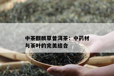 中茶麒麟草普洱茶：中材与茶叶的完美结合