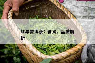 红票普洱茶：含义、品质解析