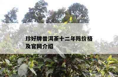 珍好牌普洱茶十二年陈价格及官网介绍