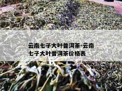 云南七子大叶普洱茶-云南七子大叶普洱茶价格表