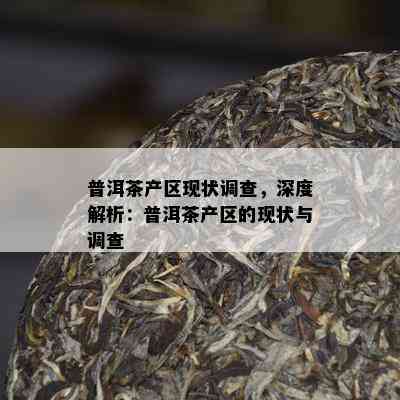 普洱茶产区现状调查，深度解析：普洱茶产区的现状与调查