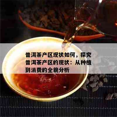 普洱茶产区现状怎样，探究普洱茶产区的现状：从种植到消费的全貌分析