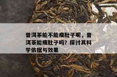 普洱茶能不能瘦肚子呢，普洱茶能瘦肚子吗？探讨其科学依据与效果