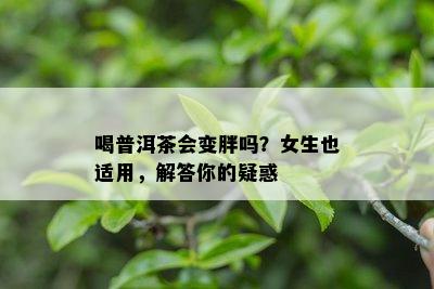 喝普洱茶会变胖吗？女生也适用，解答你的疑惑