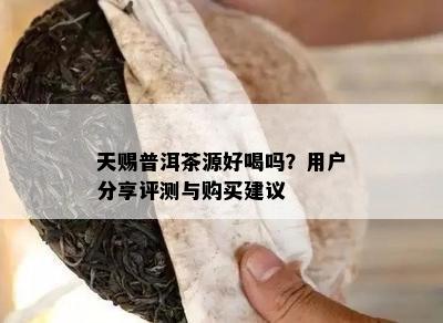 天赐普洱茶源好喝吗？客户分享评测与购买建议