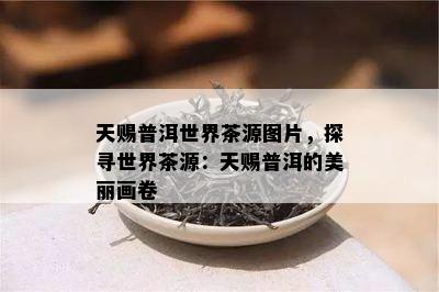 天赐普洱世界茶源图片，探寻世界茶源：天赐普洱的美丽画卷