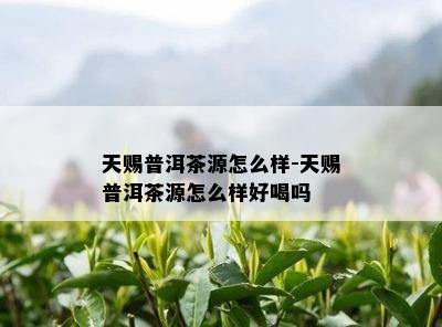 天赐普洱茶源怎么样-天赐普洱茶源怎么样好喝吗