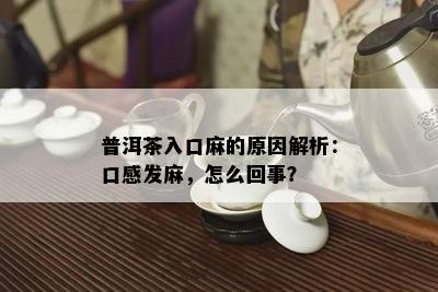 普洱茶入口麻的起因解析：口感发麻，怎么回事？