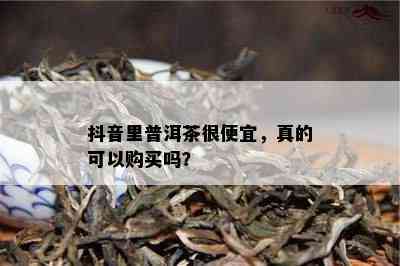 抖音里普洱茶很便宜，真的可以购买吗？